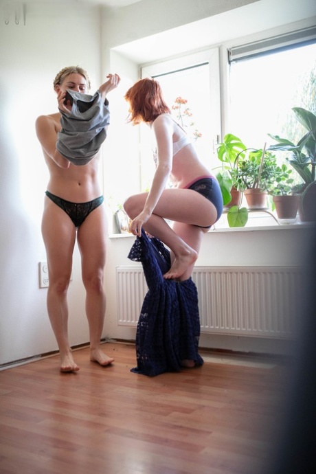 Discordia del robot allo zenzero il migliore sexy galleria